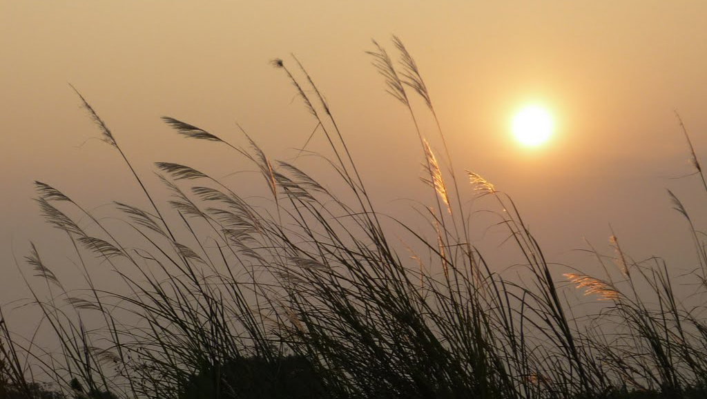 Río Rojo abona la cultura de los hanoyenses